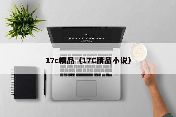 17c精品(17C精品小说)
