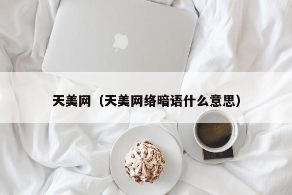 天美网(天美网络暗语什么意思)