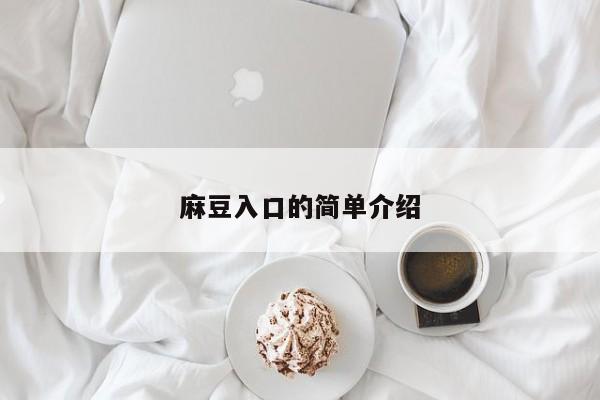 麻豆入口的简单介绍