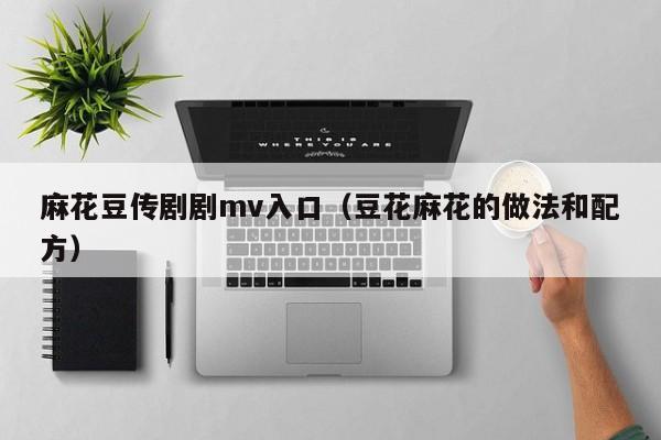麻花豆传剧剧mv入口(豆花麻花的做法和配方)