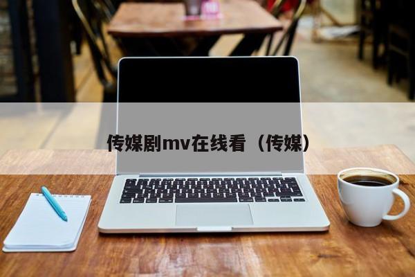 传媒剧mv在线看(传媒)